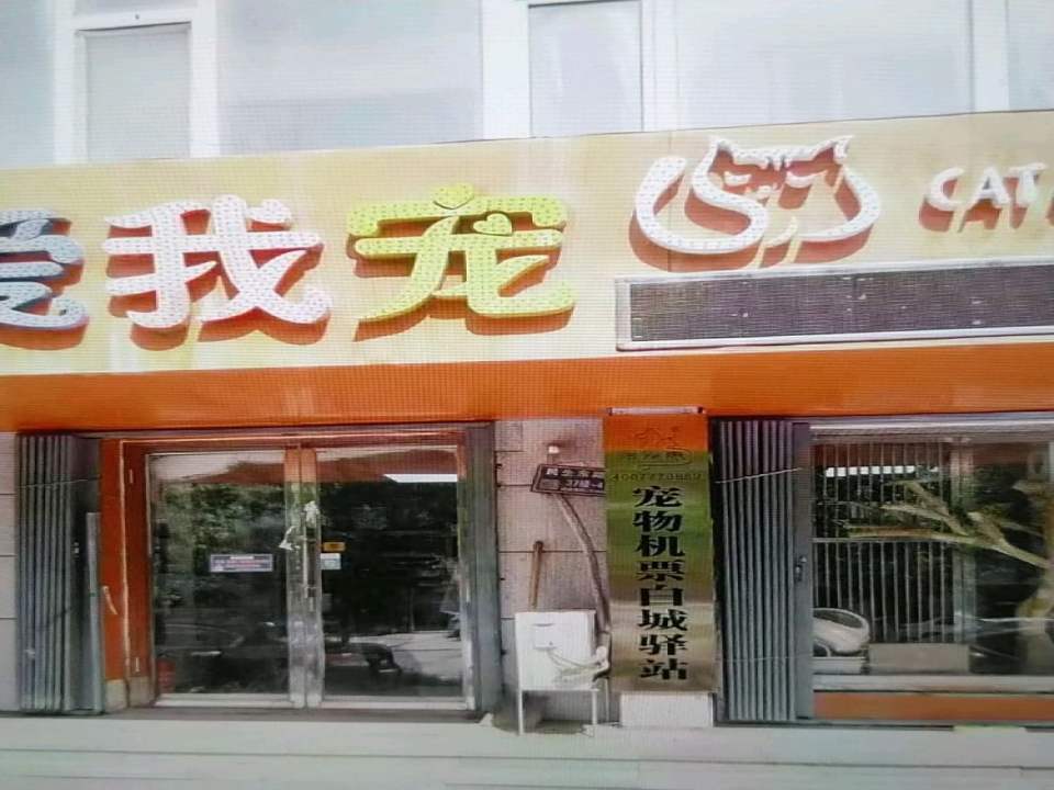 宠物机票托运驿站(白城店)