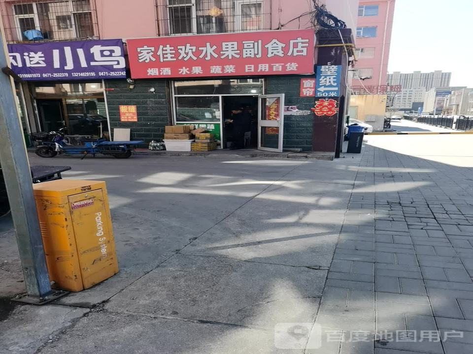 闪送小鸟