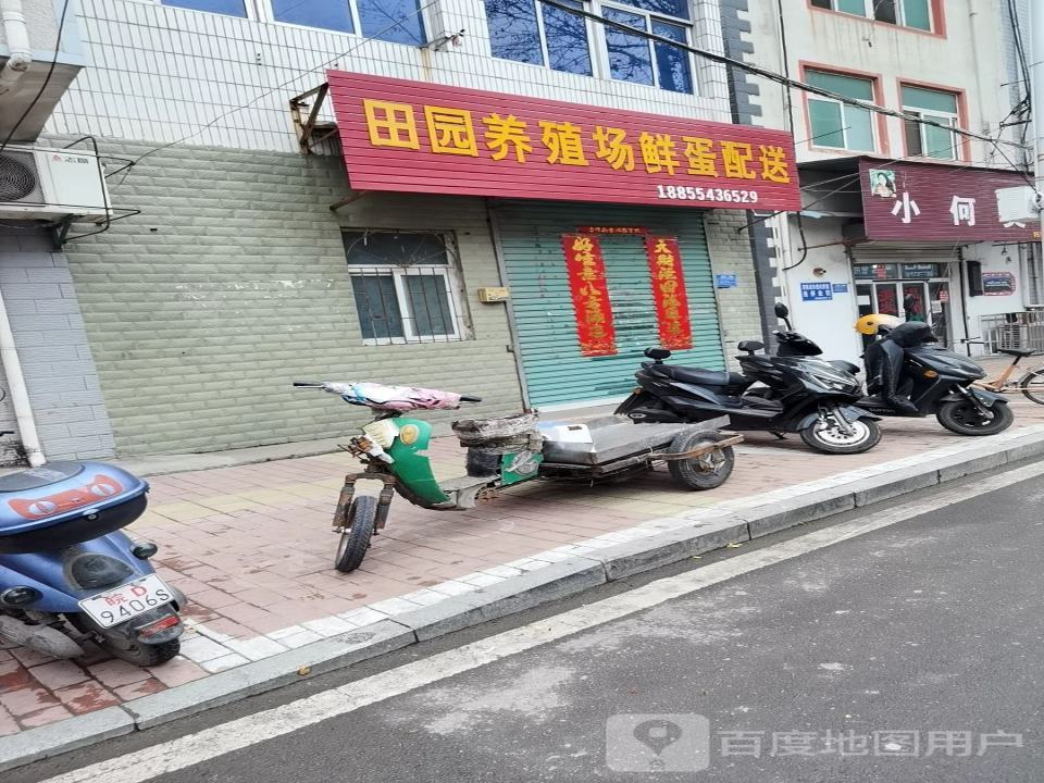 田园养殖场鲜蛋配送