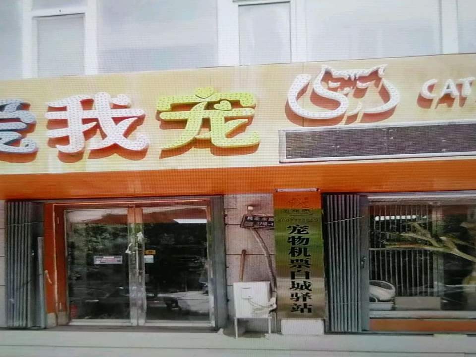 宠物机票托运驿站(白城店)