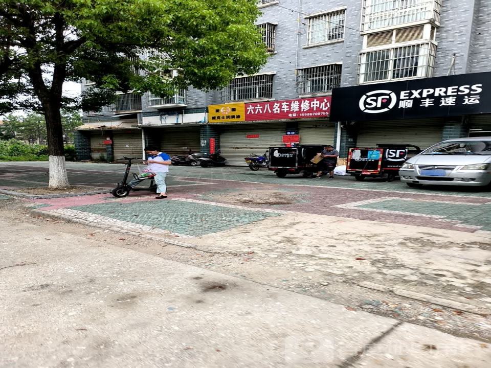 顺丰速运(北环路店)